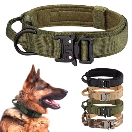 Collier tactique pour chien